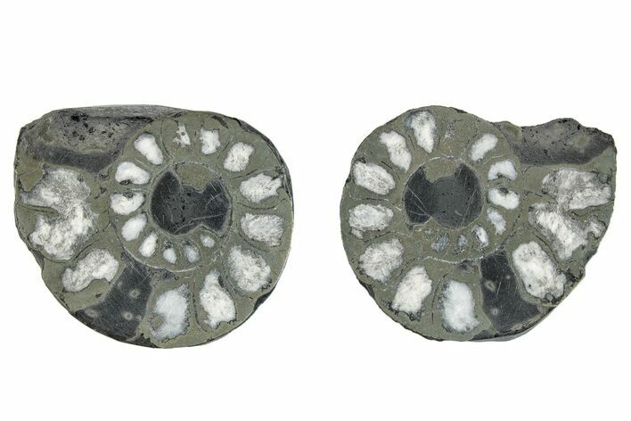 Pyritized Cut Ammonite Fossil Pair - Morocco #276610